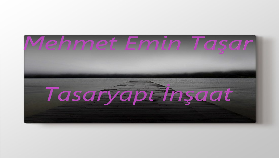 Mehmet Emin Taşar kimdir